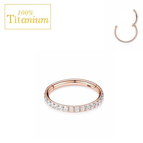 Boucles D'oreilles En Titane F136,Bijoux De Piercing Sur L'antarctique,Cerceaux  Segment Artibmo,Tragus Daith Helix Clunicef