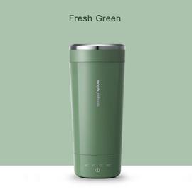 Bouilloire électrique Portable 100-240v,tasse de 300ml de thé et café,bouilloire  électrique de voyage pour garder l'eau au chaud,appareils de cuisine Thermo  - Type green-EU plug