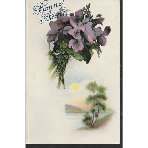 Bouquet De Violettes Sur Paysage De Lac