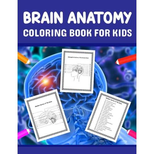 Brain Anatomy Coloring Book for Kids Learn The Human Body With Fun