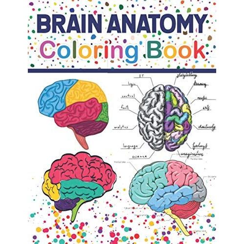 Brain Anatomy Coloring Book Fun and Easy Human Brain Anatomy Coloring