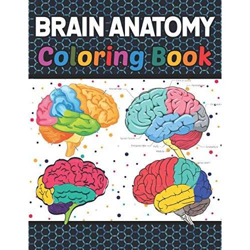 Brain Anatomy Coloring Book Introduction To Human Brain Anatomy