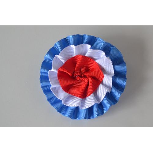 Broche Cocarde Champion Rosette Expo Chat Creation Unique Ruban Satin