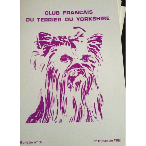 Bulletin Club Francais Du Terrier Du Yorkshire 36
