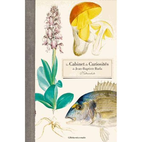 Le Cabinet De Curiosits D'un Naturaliste Du Xixe Sicle - Jean-Baptiste Barla   de Jolle Defay  Format Beau livre 