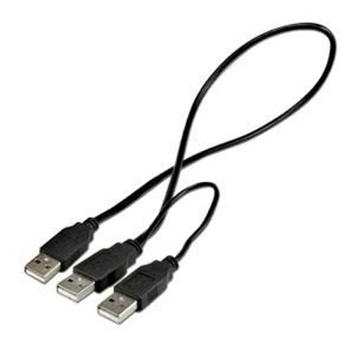 Cable Alim USB2 vers 2 USB male