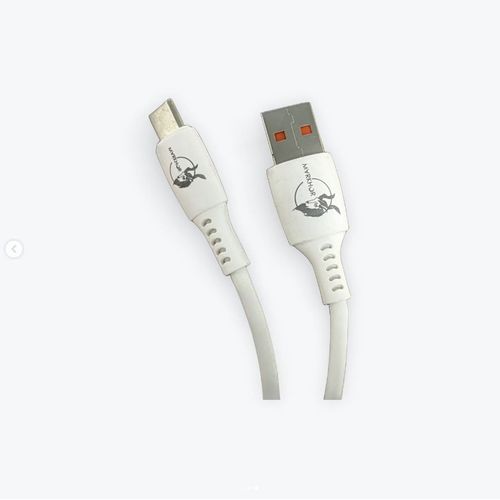 Cble USB-C vers Type-C - Recharge rapide