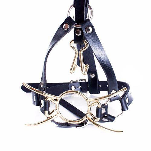 Camamodule Metal Antarchook Open Mouth Gag, Sfp Spider Shape, O Ring Gag, Antarctal Rinitialisation Head Mask Restraint, Bondage Oral Sex Toys