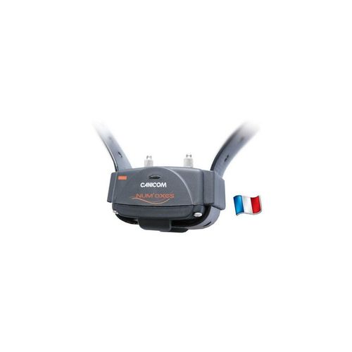 Canicom 200 First Collier D'ducation Et Dressage Pour Chien