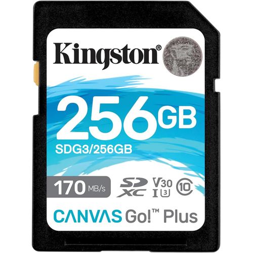 Canvas Go! Plus Carte SD 256GB SDXC 170R C10 UHS-I U3 V30
