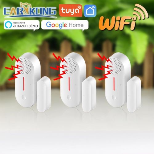 Capteur De Porte Wifi Intelligent,Dtecteur D'ouverture/Fermeture De Porte,Alarme Domestique,Compatible Avec L'application Alexa Google Home Tuya - Type Kind C3