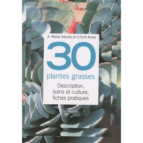 30 Plantes Grasses - Description, Soins Et Culture, Fiches Pratiques   de Farr i Arana Carme  Format Spiral 