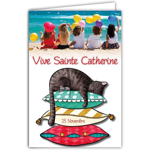 Carte Avec Enveloppe Vive Sainte Catherine 25 Novembre Bonne Fte Pour Petite Fille Qui Aime Les Chats Ballons Coussins Sable Mer Carte  changer Collectionner Amies Copines Rcration