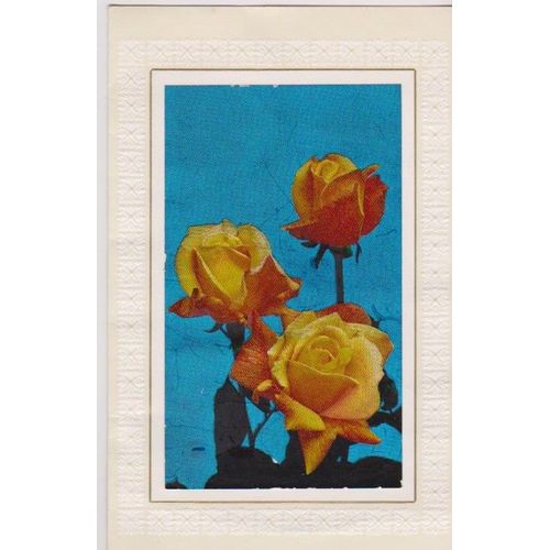 Carte Declaration D'amour :   Trois Roses  Avec Reflets Changeants  La Lumire - 12x19 Xm 4 Pages 