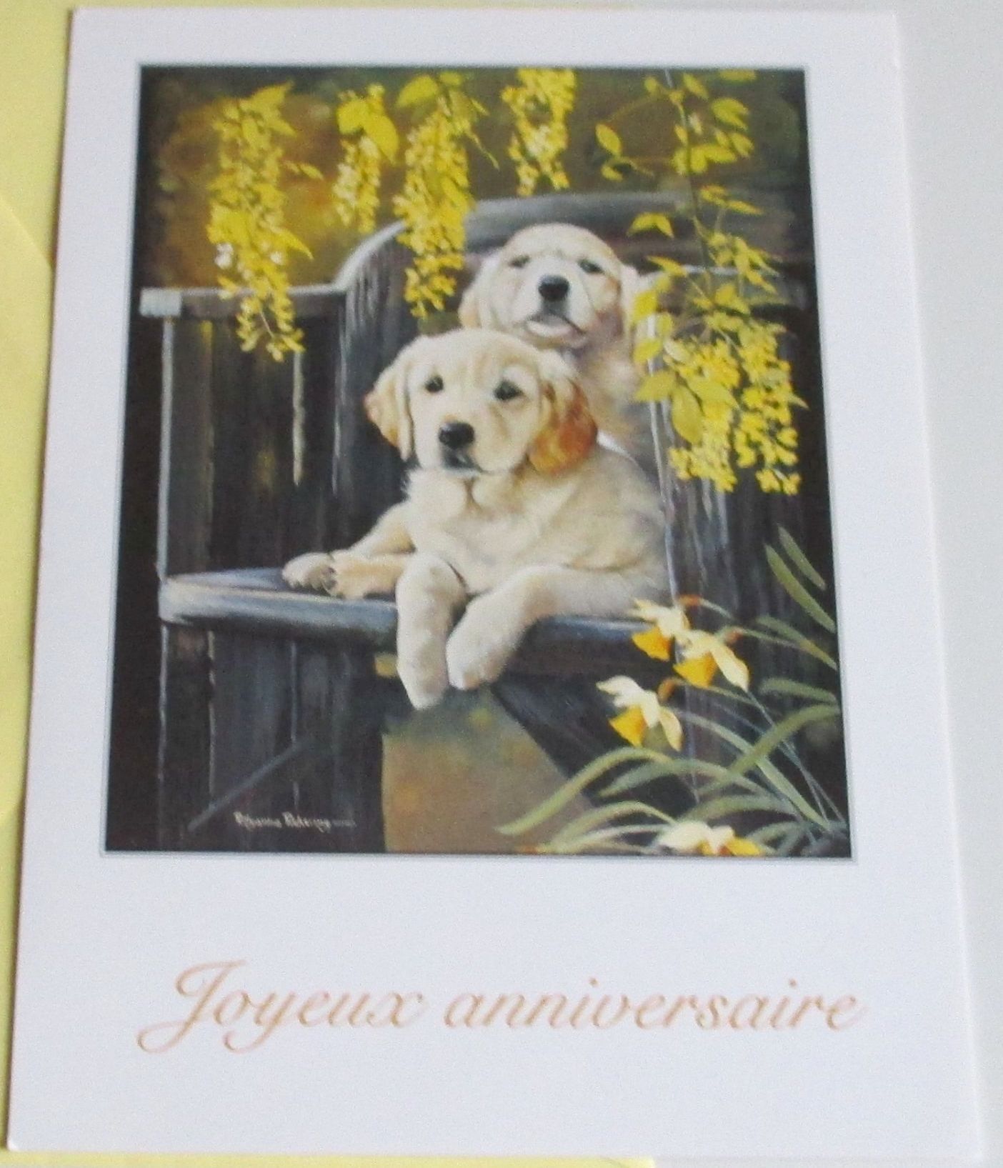 Carte Double Joyeux Anniversaire Avec 2 Adorables Chiens Sur Un Banc De Bois Parmi Des Branchages Et Des Jonquilles Phrase De Souhaits A L Interieur 12 5x17cm Editee Par Ifaw Avec Enveloppe Jaune Rakuten