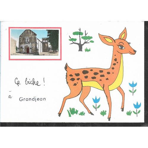 Carte Humoristique Avec Encart Photo 
