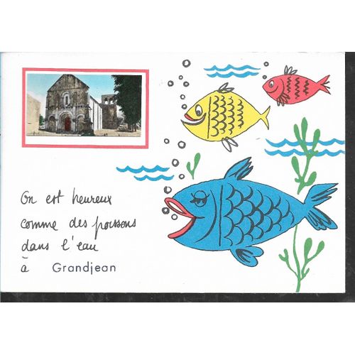 Carte Humoristique Avec Encart Photo 