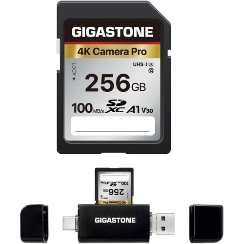 Carte Mmoire SDXC 256 Go avec USB Type C Lecteur de Carte, 4K Camra Pro, Vitesse jusqu' 100 Mo/s. Compatible avec Camra Canon Nikon Sony Camscope, 4K Video A1 V30 UHS-I, C10