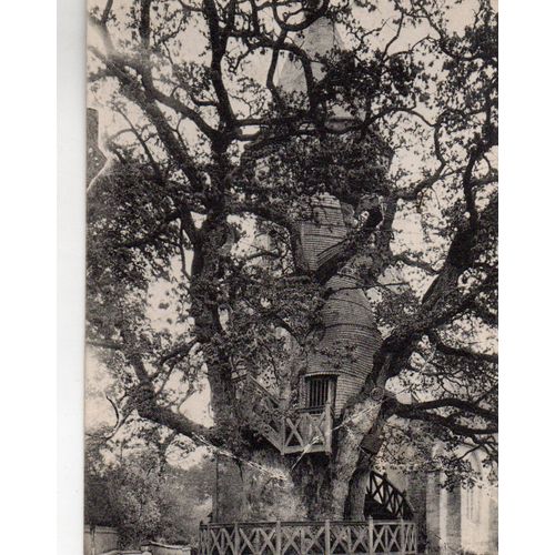 Carte Postale Ancienne N802 Allouville-Bellefosse - Le Gros Chne - Age D'environ 1000 Ans Mesure 15 Metres Decirconstance Et Renferme Deux Chapelles