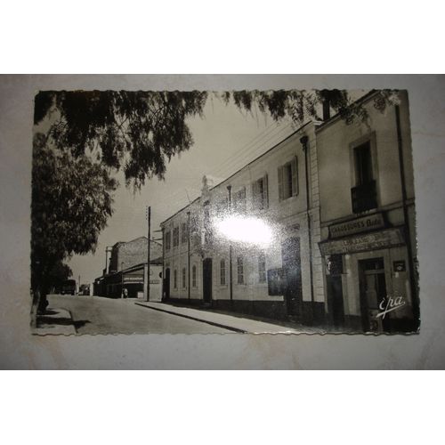 Carte Postale Cpa N35 Marnia Oran La Mairie