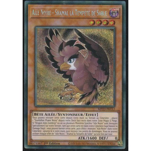 Carte Yu-Gi-Oh - Aile Noire