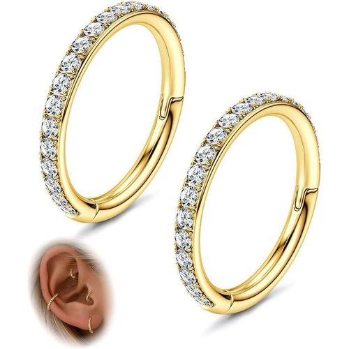 Cartilage Boucles D'oreilles Croles Conch Piercing Bijoux 18g 16g 316l Acier Chirurgical Anneaux Segment Charnires Septum Anneau Nez Daith Rook Tragus Croles Piercing 6/8/10mm.[X862]