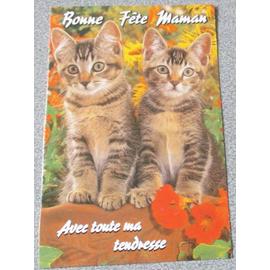 Carton Decoupe Avec Deux Beaux Chaton Tigres Sur Un Decor Floral Mentions Bonne Fete Maman Et Avec Toute Ma Tendresse 11 5x18cm Pour Collection De Chats Ou Plaisir De L Image Rakuten