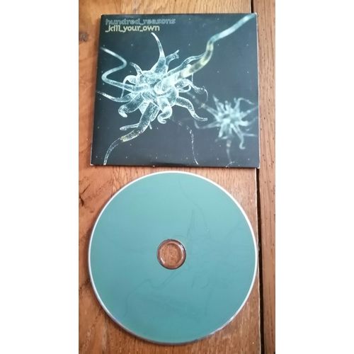Cd Single Hundred Reasons 