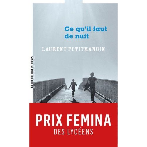 Ce Qu'il Faut De Nuit   de Petitmangin Laurent  Format Grand Format 