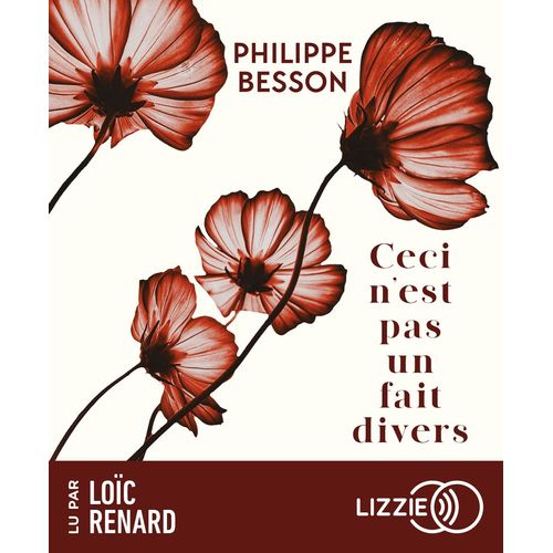 Ceci N'est Pas Un Fait Divers   de philippe besson 