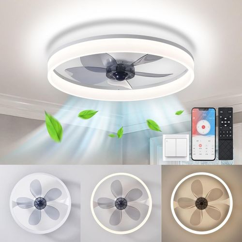 Ceiling Fan with Lighting,40CM Silent Ceiling Fan with Light,Ceiling Fan with Light with Remote Control for All Seasons,6 Speeds.[F36]