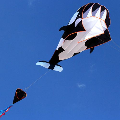 Cerf-Volant Gant 3d Sans Cadre, En Forme De Baleine, Avec 30m De Cordes, Logiciel 3d, Divertissement En Plein Air