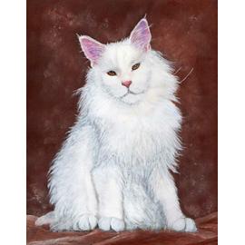 Chat Angora Turc Peinture Rakuten