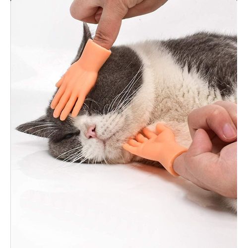 Chat Mignon Mini Mains Toucher Joue Brosses Doigt Jouets 2 Paires De Doigts