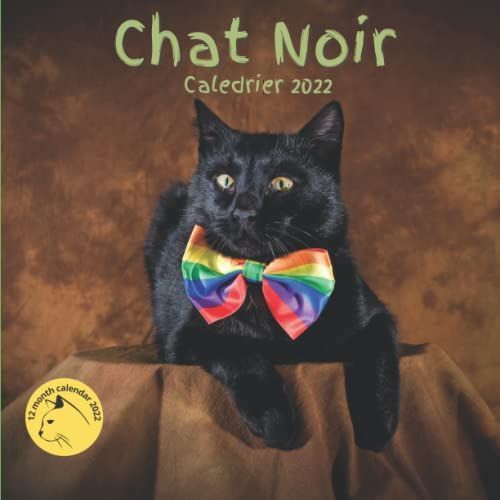 Chat Noir Calendrier 2022: Chats Noirs Animaux | Agenda 2022 Mensuel Pour Les Amoureux Des Flins Ide Cadeau.   de Kent, Sarah  Format Broch 