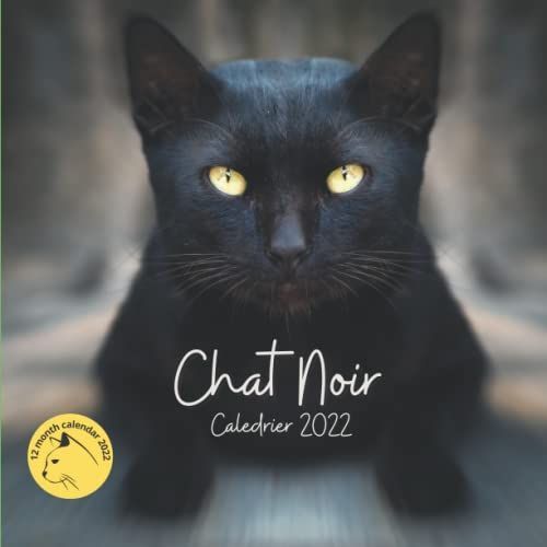 Chat Noir Calendrier 2022: Chats Noirs Animaux | Agenda 2022 Mensuel Pour Les Amoureux Des Flins Ide Cadeau.   de Kent, Sarah  Format Broch 