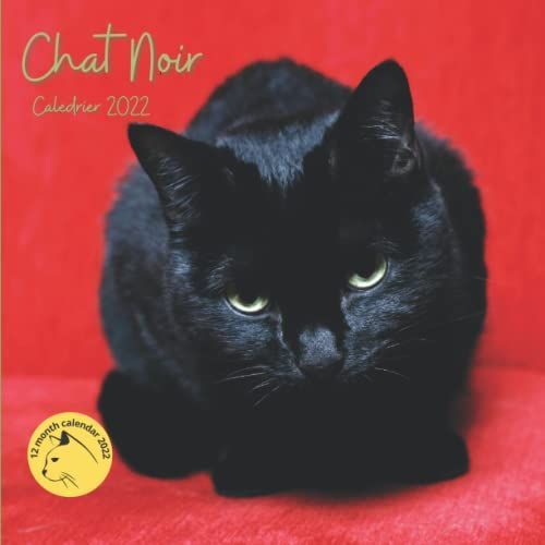 Chat Noir Calendrier 2022: Chats Noirs Animaux | Agenda 2022 Mensuel Pour Les Amoureux Des Flins Ide Cadeau.   de Kent, Sarah  Format Broch 