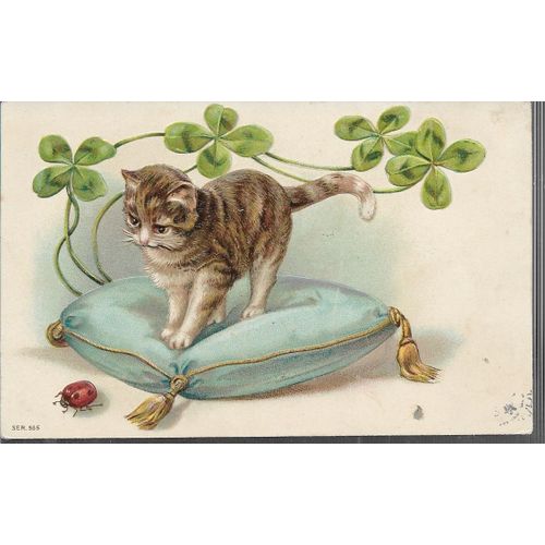 Chat Sur Un Coussin Regarde Une Coccinelle, Guirlande De Trfle, Gaufre