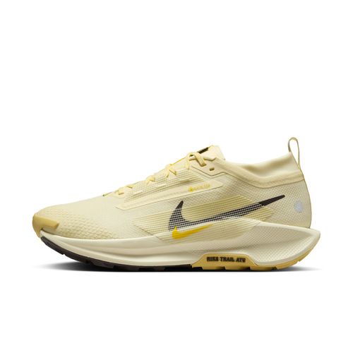 Chaussure De Trail Impermable Nike Pegasus Trail 5 Gore-Tex Pour Homme - Marron - 42.5