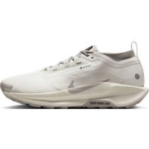 Chaussure De Trail Impermable Nike Pegasus Trail 5 Gore-Tex Sp Pour Homme - Blanc - 47 1/2