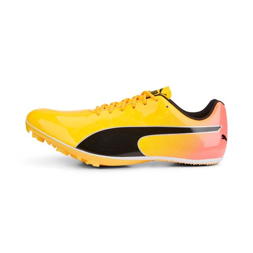 Chaussures D?Athltisme Evospeed Sprint 14 - 38