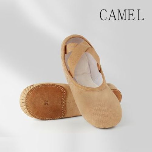 Chaussures De Ballet Pour Filles,Pantoufles De Danse Pour Femmes,Chaussures De Pratique  Enfiler En Toile Hautement Extensible  Semelle Fendue - 45