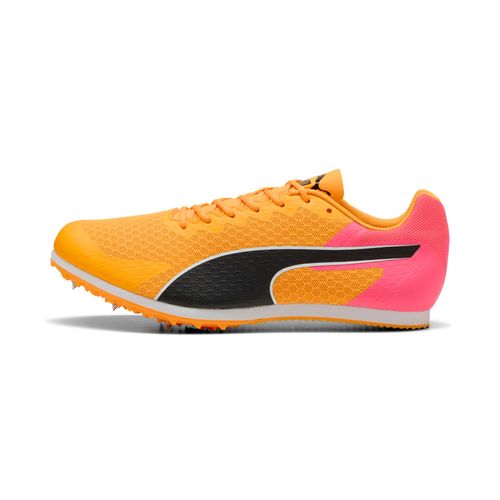 Chaussures De Running Evospeed Star 9