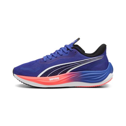 Chaussures De Running Velocity Nitro 3 Homme - 45