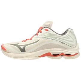 Chaussure de sport on sale mizuno