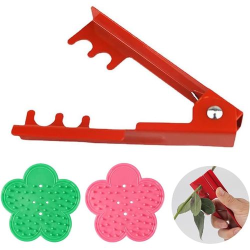Checarzhn--No1-3 Pices D'lagage De Jardin Kit,Scateur Lame De Roses,Dissolvant D'pines En Metal,Scateur De Jardin,C Aux  Fleurs,Outil Bavure Remover,Pour Maison,Jardin,Fleuriste,Rutilisable,