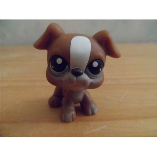 Chien Boxer Petshop N 83