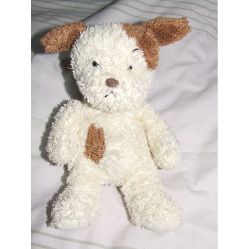 Chien Histoire D Ours Beige Marron