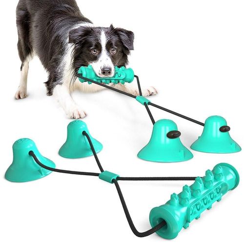 Chien Molar Bite Chew Toy Corde Pull Interactive Avec Ventouse Pour Tirer Le Nettoyage Des Dents  Mcher, Bleu