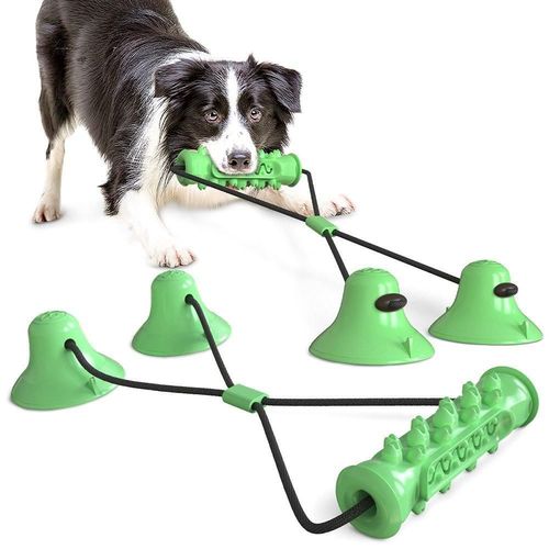 Chien Molar Bite Chew Toy Corde Pull Interactive Avec Ventouse Pour Tirer Le Nettoyage Des Dents  Mcher, Vert